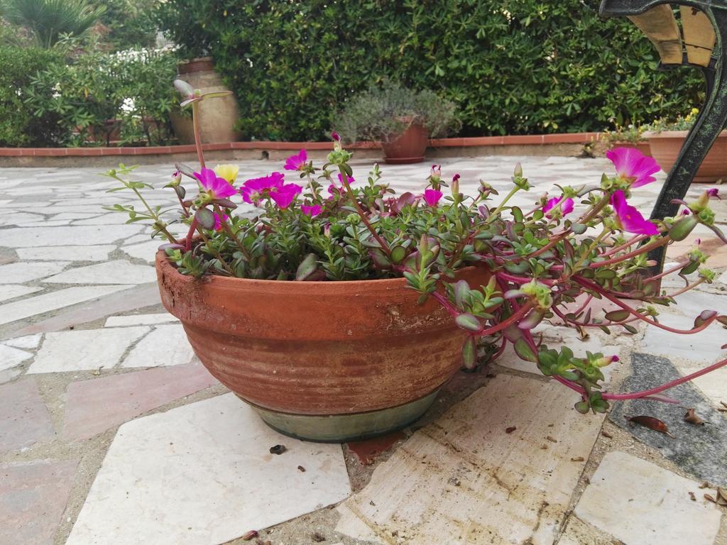 Villalba Castellammare del Golfo Zewnętrze zdjęcie