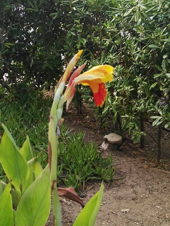 Villalba Castellammare del Golfo Zewnętrze zdjęcie